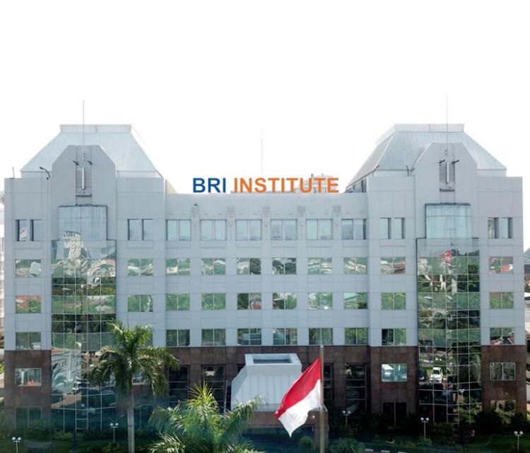 BRI Institute