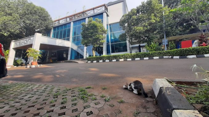 Universitas Terbuka (UT)
