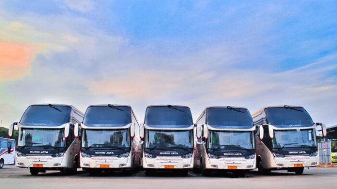 Pilihan-Kelas-Bus-Murni-Jaya-e1674395282541